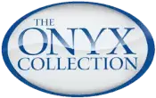 Blue and grey gradient logo for The Onyx Collection materials.